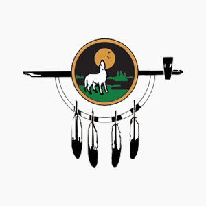 community profile