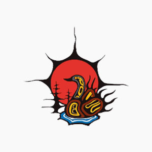 community profile